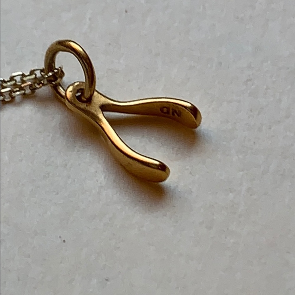 Wishbone Necklace - Picture 3 of 6